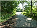 Limbourne Lane meets the A283 at Fittleworth