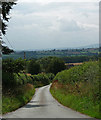 Coton Lane near Birdsgreen