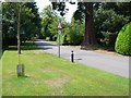 Great British Elm Experiment, Ashorne Hill