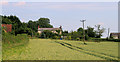 2011 : Wheatfield on Beard Hill