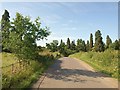 Road near Walton Hall