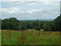 View north-west from Hever Lane