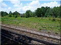 TQ1573 : Railway lines near Twickenham by Marathon