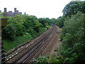 Railway cutting west of Richmond station