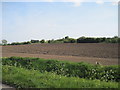 Field  and  Disused  Railway.