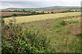 View across a large field