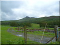 Looking towards Conic Hill