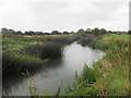 The Thames Path - the river gathers strength