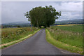 Road to Nether Logie, between Meigle and Glamis