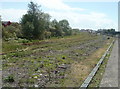 Disused tracks, Barry railway station