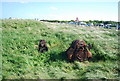 Rusty winching machine, Beadnell