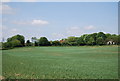 Looking to Long Mill Farm Oast