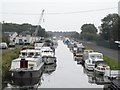 N7725 : Marina on the Grand Canal at Lowtown, Co. Kildare by JP
