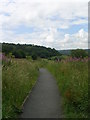 Footpath - end of West Royd Drive