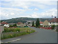 West Royd Crescent - viewed from West Royd Drive