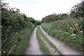 Track leading to Lulworth Road