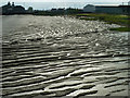 Low tide mud, Tilbury