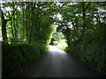 Tree-lined road, near Triffleton