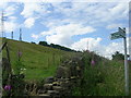 Footpath - High Busy Lane