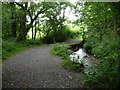 Pathway near Narberth