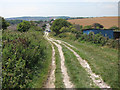 Track to Wellington Road