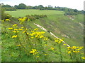 On Top of Colley Hill