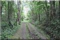 Footpath near Old Cleeve