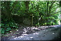 Footpath to Stoke Fleming