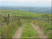 SS9985 : Track on Mynydd Portref by John Light