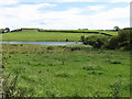 View across rough grassland to Magheralagan Lake