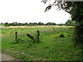 Pastures south of Hoo Plantation, Little Glemham