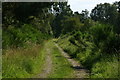 Track on the south side of Blairgowrie Golf Course