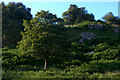 Slopes of Hill of Cally, above Steps of Cally