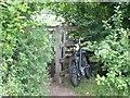 Bike at the gate