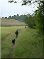 On the Severn Way near Lower Forge