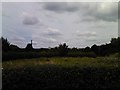 View of the Anerley TV transmission mast from South Norwood Country Park