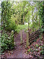 Entrance Path to the Village Green