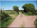 Footpath from Marloes