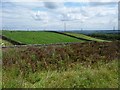 Rectangular fields east of the bridleway