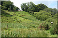 Dartmoor Forest: below Sherberton