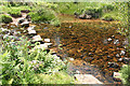 Dartmoor Forest: stepping stones