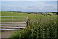 Field between Heywood and the M62