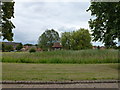 TL1795 : "Village" pond, Hampton Hargate, Peterborough by Richard Humphrey