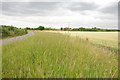 Across Canary Grass to Raddle Farm