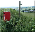 ST4694 : Cock-a-Roosting postbox and footpath sign, Earlswood by Jaggery