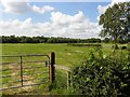 Derryloste Townland