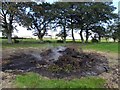 Remains of a 12th July bonfire, Charlestown