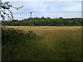 Field alongside Rownhams Lane