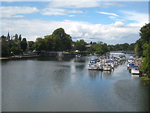 TQ1568 : Looking up the Thames from Hampton Court Bridge by Rod Allday
