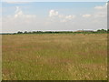 Farmland south of the Humber